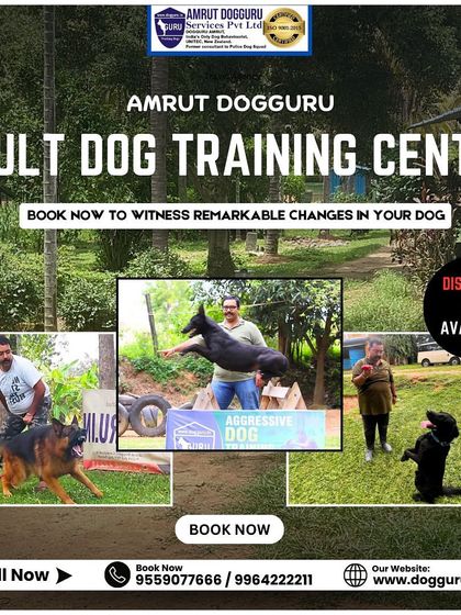 Dog Guru - Dog Behavior & Owner Consultation Training & Socialization Gallery photo 6