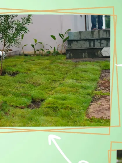 This graphic focuses on the process of laying new turf, an essential step in creating a lush lawn.