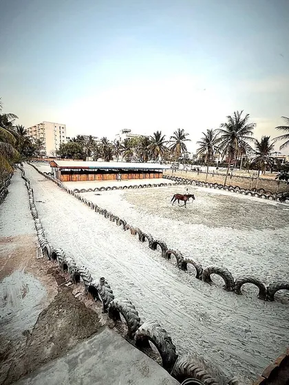 Welcome to our urban oasis. This wide shot shows our main sand arena and track, a versatile space ready for everything from large events and film shoots to riding lessons, all with a unique city backdrop.
