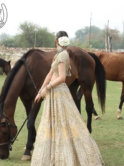 A unique shot of a model leading a horse through a field of other grazing horses, creating a lively and natural scene.
