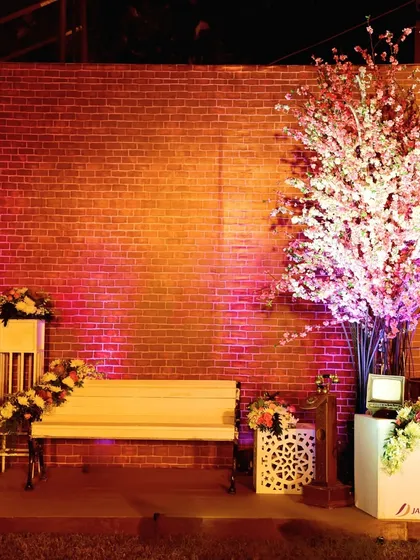 A cozy and romantic photo corner. A simple white bench is set against a brick wall, illuminated by pink uplighting and a beautiful cherry blossom tree.