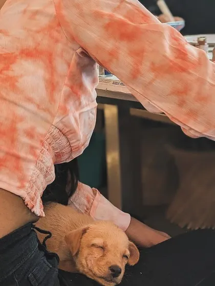 It's not just yoga. During our Art with Puppies workshops, you might find a sleepy pup using your lap as a bed while you paint. We provide all the art supplies for a relaxing, creative session where you can unwind with our furry friends.