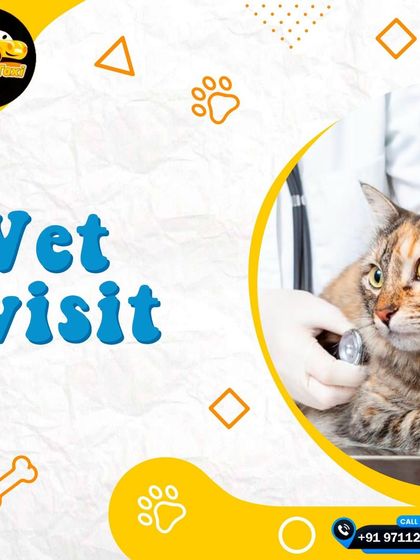 Vet visits can be stressful, but the ride there doesn't have to be. I provide a calm and clean environment to keep your pet at ease.
