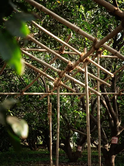 A close-up of the bamboo mock-up, showing the simple yet effective joinery. These temporary structures help us and the client visualize the scale and feel of a space before committing to permanent construction.