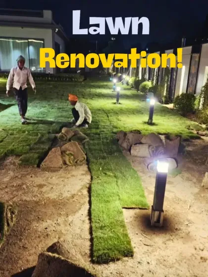Here you can see my expert team during a night-time lawn renovation. We work flexibly to minimize disruption, carefully laying each roll of natural turf to create a perfect, even lawn.