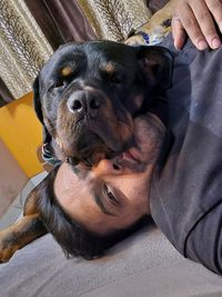 Dog Training & Behavior Management