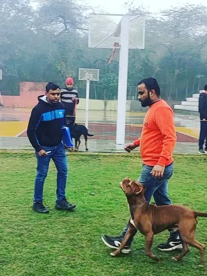 Here I am with Thor at a Canine Welfare Organisation obedience show. We proudly took home prizes for our performance, showcasing our skills in a public setting.