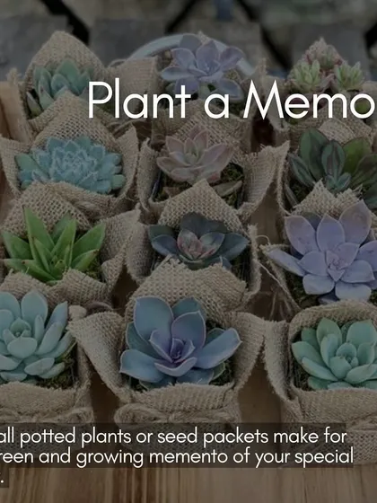 A green wedding favor idea: "Plant a Memory," suggesting small potted plants or seed packets for guests.