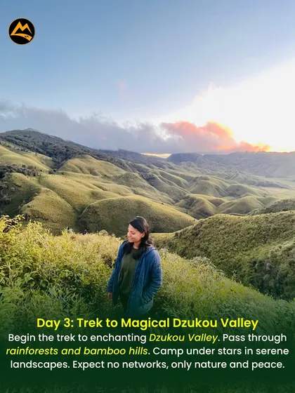 A solo moment of peace during a trek to the magical Dzukou Valley. My trips offer a balance of group fun and personal time to connect with nature.