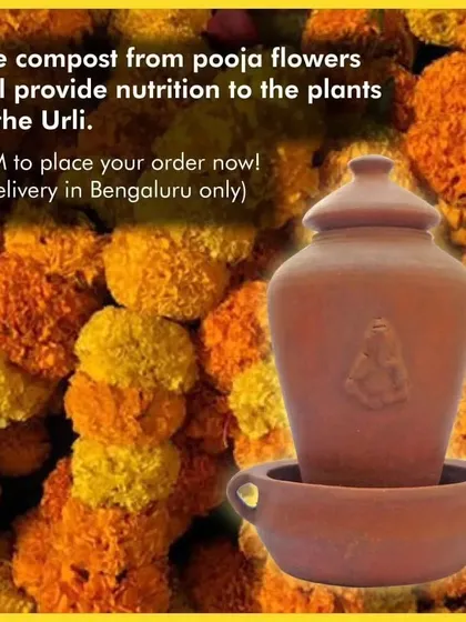 Don't let your holy flowers go to waste. The compost from the Pooja Ganesha will provide all the necessary nutrition for the plants in the Urli, creating a beautiful, self-sustaining ecosystem.
