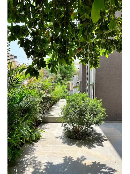 A quiet path in the 'House of Terraces' garden, where a single shrub emerges from the stone paving. The dappled light from the tree canopy above creates a serene and peaceful atmosphere.