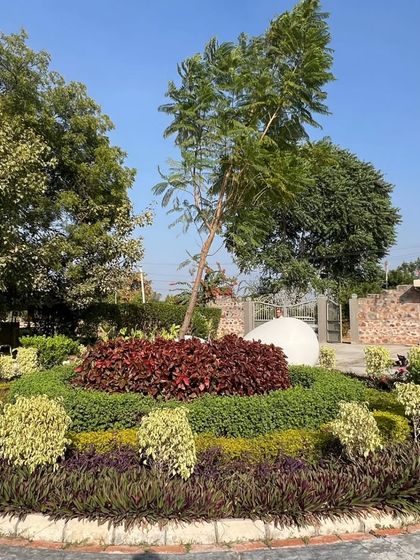 A circular garden bed designed as a central feature for a driveway or roundabout. We use layered planting with contrasting colors and textures, including red and purple foliage, to create a striking visual impact.