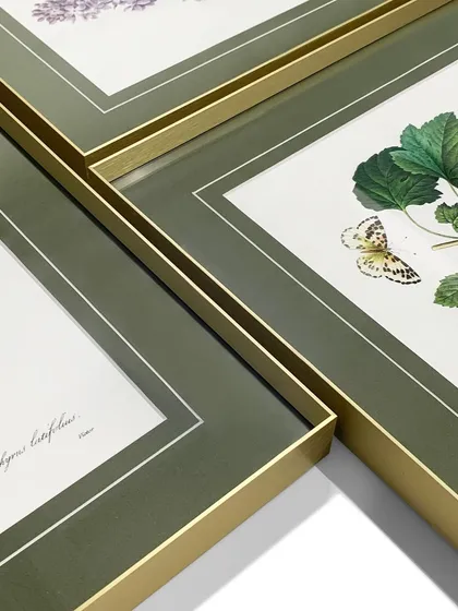 A collection of botanical prints, all framed with the same green mat and gold metal frame. This consistency creates a stunning and cohesive gallery wall.