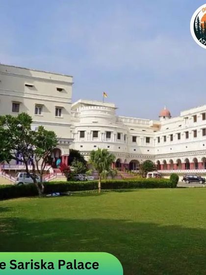 Wildlife & Jungle Safaris photo 13