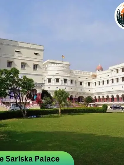The Sariska Palace offers a glimpse into royal history. We often include cultural and heritage sites in our wildlife tour itineraries.