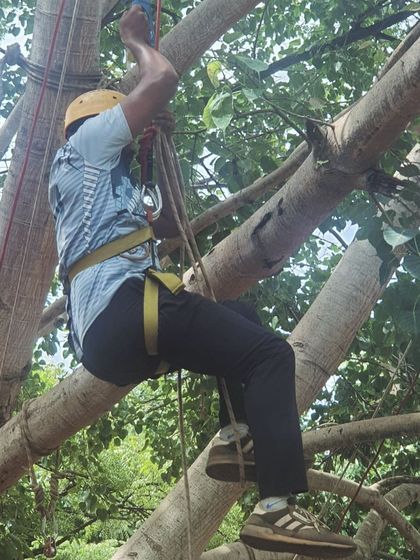 A climber practices ascending a rope fixed to a tree, a common training exercise.