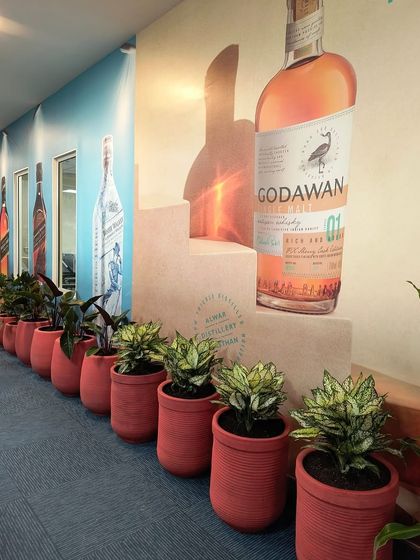 A long row of Aglaonema and other plants in matching terracotta pots lines this hallway. This plantscaping strategy creates a cohesive and lush corridor, guiding people through the space with nature.