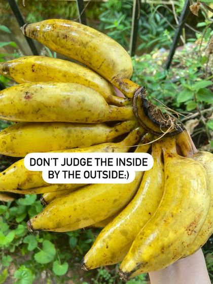 An infographic guide on how to tell if your banana is organic or chemically ripened. Look for a yellow stalk and patchy brown spots on organic bananas, versus a green stalk and uniform yellow on chemically ripened ones.