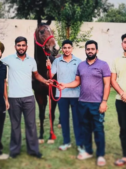 A proud moment with a new horse and its new family. It’s always a great day when one of our horses finds a new home where it will be valued and cared for.