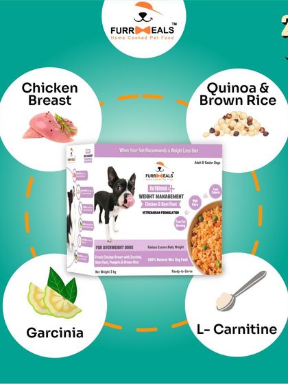 My VetBlend+ Weight Management food gets results. This series shows the vet-designed formula, its key fat-burning ingredients, and real testimonials from pet parents who have seen their dogs lose weight and become more active.