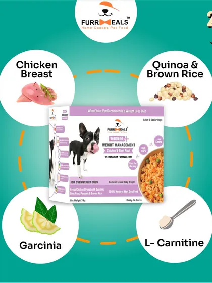 This collection of infographics and product shots provides a comprehensive guide to understanding, preventing, and managing dog obesity with my specialized diet plans and responsible treating tips.
