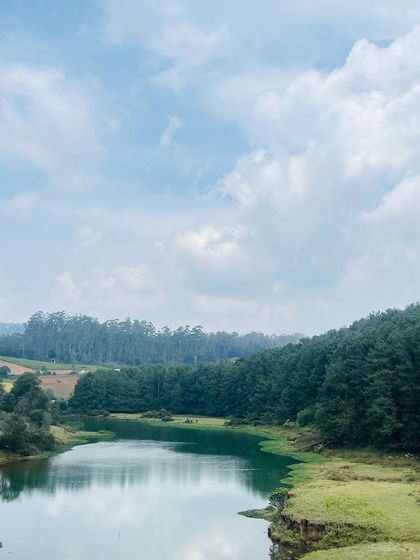 A tranquil landscape shot of a lake in Ooty, reflecting the blue sky and surrounding forests.