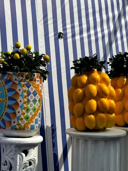 A close-up of the unconventional decor elements. We used planters covered in lemons and colorful mosaic tiles to add texture and a Mediterranean feel to the St. Tropez theme.