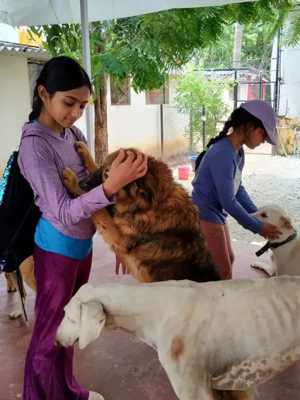 Anoushka shares a hug with one of our fluffier residents. These moments of connection are what make the sanctuary a true home.