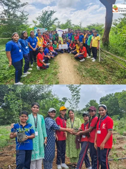 A collage of memories from our day with students in Pune. From group photos to holding their first sapling, these experiences create a lasting bond with nature.