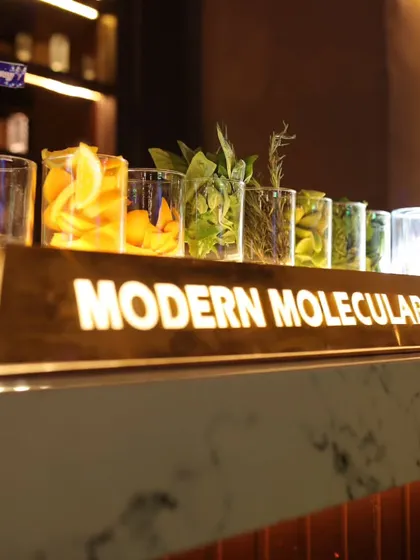 For a touch of theatre, I offer modern molecular mixology. This service adds drama and excitement to your event, with smoking cocktails and unique flavor combinations that get everyone talking.