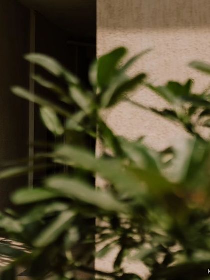 A creatively framed maternity shot, using foliage in the foreground to create a sense of looking in on a private, special moment between the expecting parents.