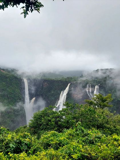 The majestic Jog Falls peeking through the monsoon clouds. We run trips every weekend to witness such spectacular sights.