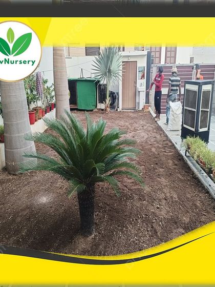 A residential backyard before I started work. The area is prepared with fresh, nutrient-rich soil.