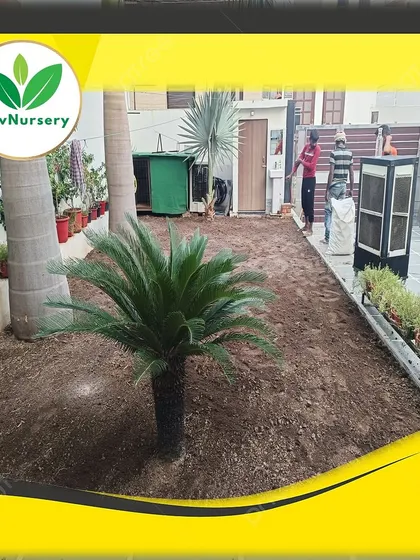 A residential backyard before I started work. The area is prepared with fresh, nutrient-rich soil.