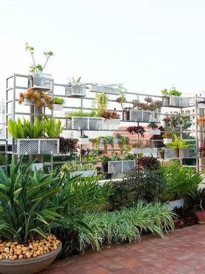 This is a custom-designed modular green wall I created for a rooftop space. The structure uses staggered, perforated metal boxes to hold a variety of plants, creating a living art installation that also acts as a privacy screen from adjacent buildings.
