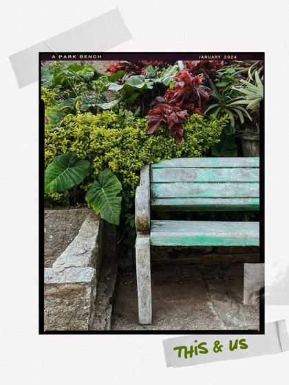This and us: a thread. A quiet moment captured of a weathered park bench surrounded by lush greenery.