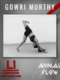 Animal Flow Instruction