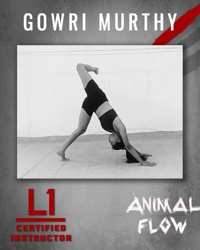 Animal Flow Instruction