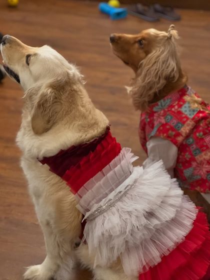 A view of their beautiful festive outfits from the back. The details are everything.
