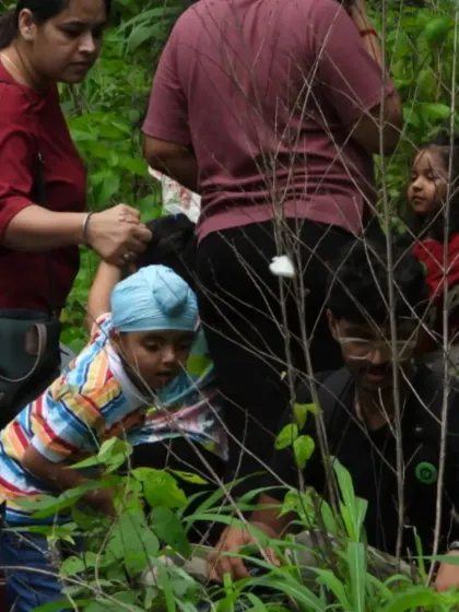 Little explorers navigating through the dense foliage, fully immersed in their surroundings. Our nature walks encourage kids to get right into the heart of the wild.