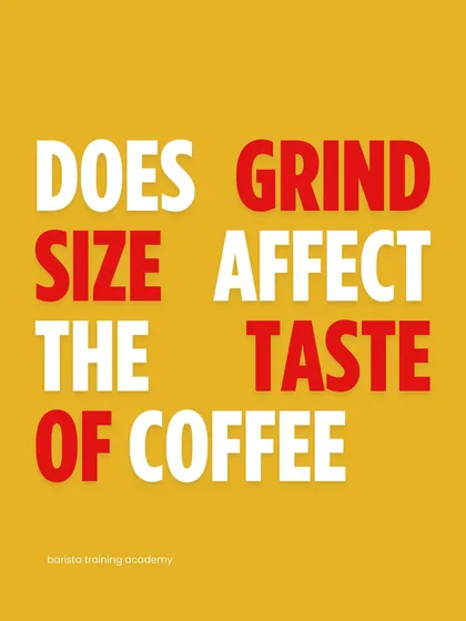 A bold question: "Does grind size affect the taste of coffee?" The answer is a definite yes, and we explain why.
