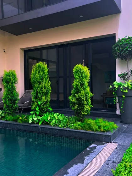 A row of elegant cypress-like trees planted along the pool's edge adds a touch of formal, Mediterranean style to this Sultanpur farmhouse.