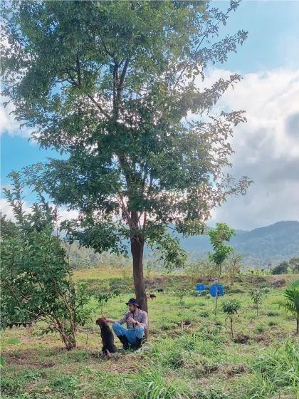 Finding a moment of peace with my dog under a tree on the estate. This is 'Shinrin Yoku' or forest healing in practice. It's about simplifying and connecting with nature, a core part of the reset I offer here.