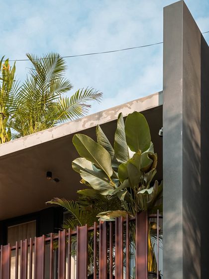 A detail of the 'Ittige' residence where the concrete structure provides a canopy for tropical plants. This demonstrates our philosophy of giving back to the land by incorporating green spaces at every level of the built fabric.