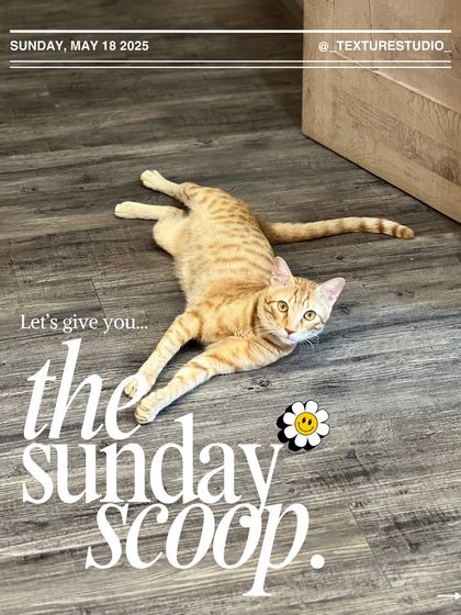 The Texture Studio Experience photo 6