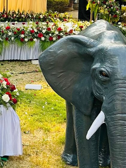 EPB Events - Wedding & Event Decoration Outdoor & Destination Events photo 4