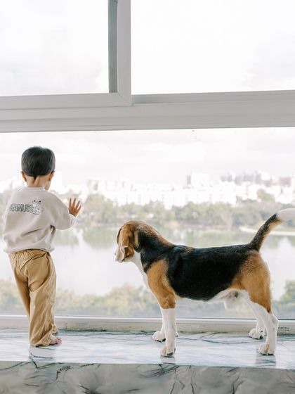 A boy and his dog looking out the window together, sharing a quiet moment. These are the unposed, story-rich images I love to create.
