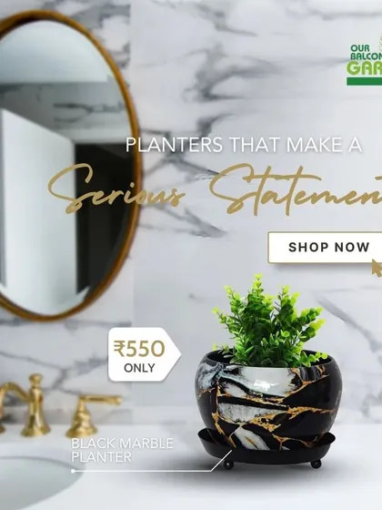 A plant gift is also about the presentation. We offer a range of premium planters like this stunning black marble design that turns a simple plant into a statement piece for any home or office.