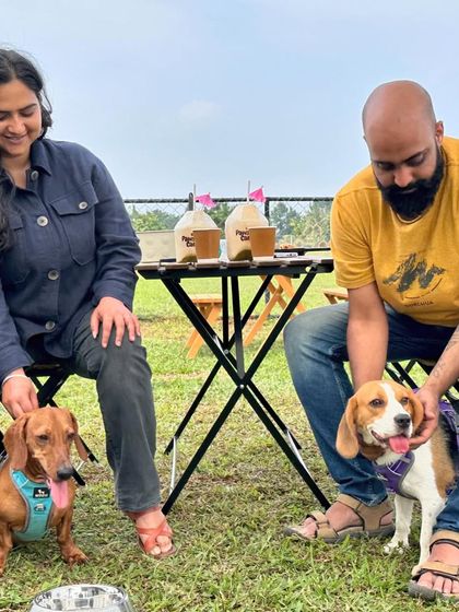 The Pawsome Camp - Dog Park & Pool Paws & People: A Community of Dog Lovers photo 45