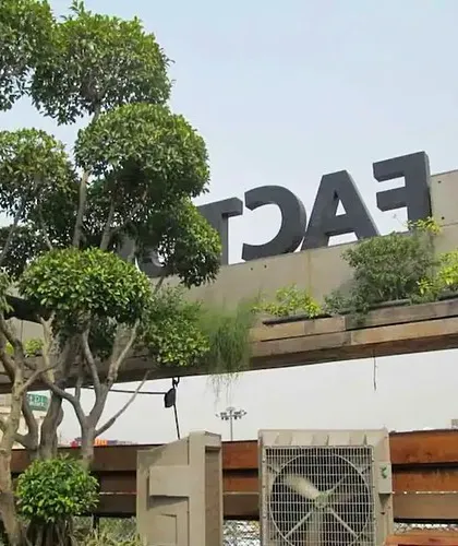 Rooftop planters installed on a wooden pergola structure at a commercial building. This is an effective way to add greenery to upper levels and soften the building's profile.